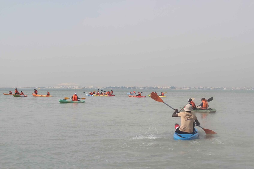 Picture 3 for Activity From Doha: Mangroves Kayaking Adventure