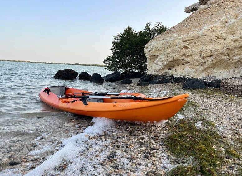 Picture 2 for Activity From Doha: Mangroves Kayaking Adventure