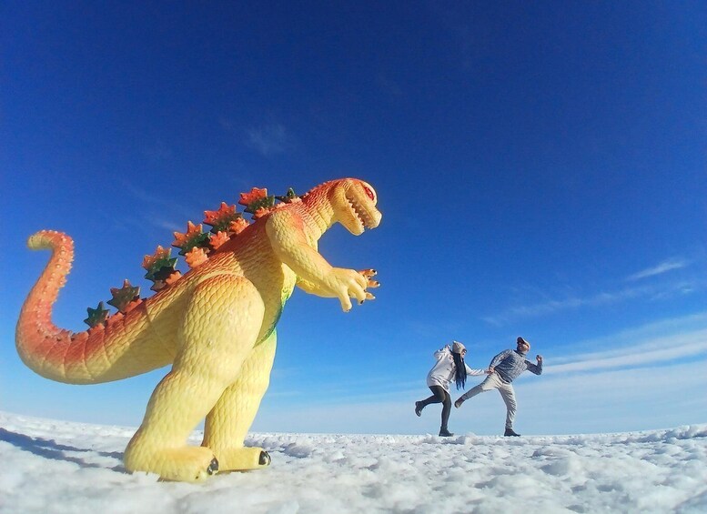Picture 10 for Activity From Atacama Chile : 2-Day Uyuni Salt Flats Private Tour