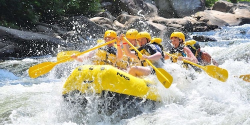 From Kathmandu / Pokhara / Chitwan: River Rafting - 1 Day