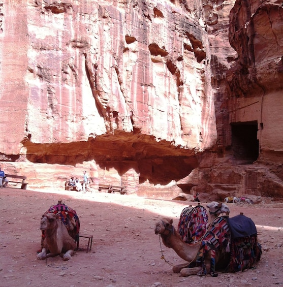 Picture 4 for Activity Private two days tour of Petra from Israel