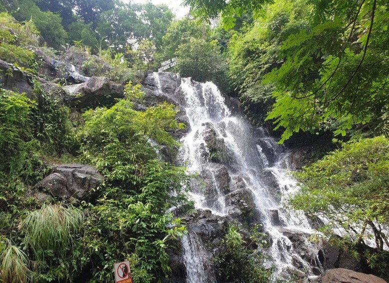 Picture 9 for Activity From Phong Nha Town: Paradise Cave & Zipline at Dark Cave