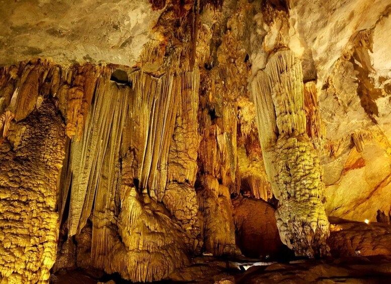 Picture 19 for Activity From Phong Nha Town: Paradise Cave & Zipline at Dark Cave