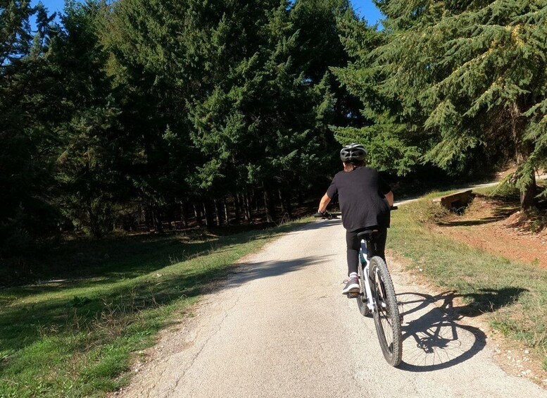 Picture 7 for Activity Bari: eBike Touring for Foodies and Nature Lovers