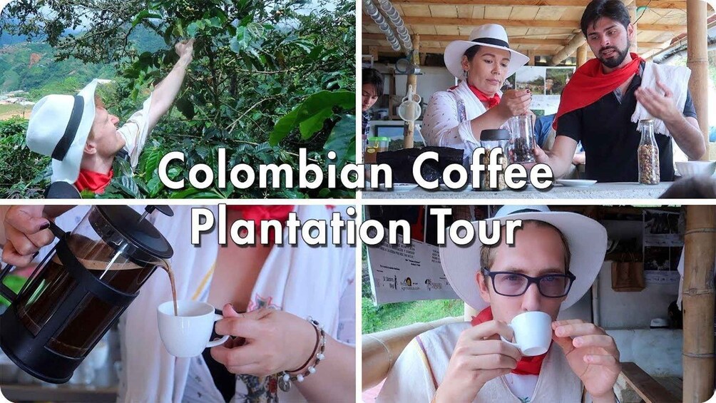 Picture 3 for Activity From Farm to Cup: The Ultimate Coffee Tour