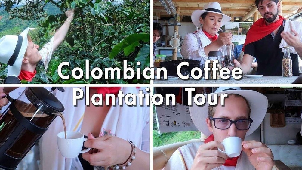 Picture 3 for Activity From Farm to Cup: The Ultimate Coffee Tour