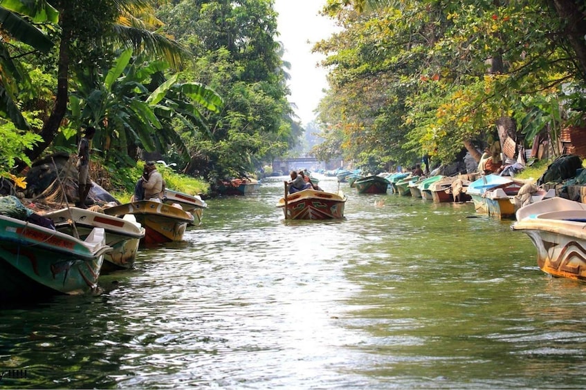 Picture 4 for Activity Negombo: Muthurajawela Wetland & Dutch Canal Boat Adventure