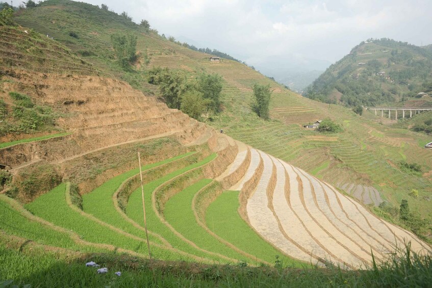 Picture 9 for Activity Sapa Half Day hard trekking villages trip with lunch & guide