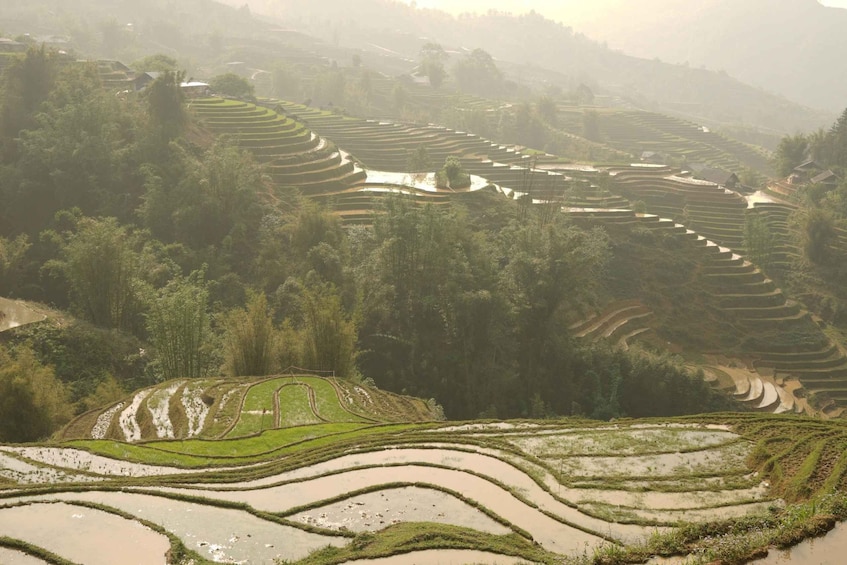 Picture 7 for Activity Sapa Half Day hard trekking villages trip with lunch & guide