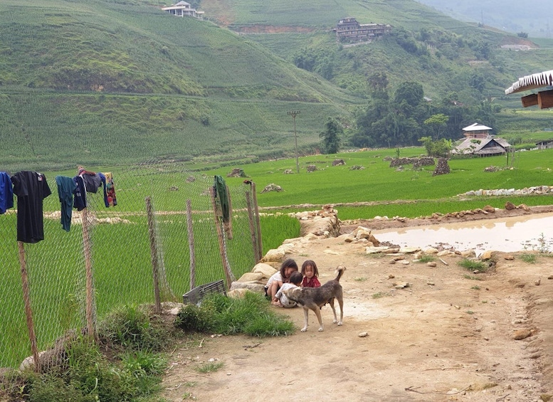 Picture 11 for Activity Sapa Half Day hard trekking villages trip with lunch & guide