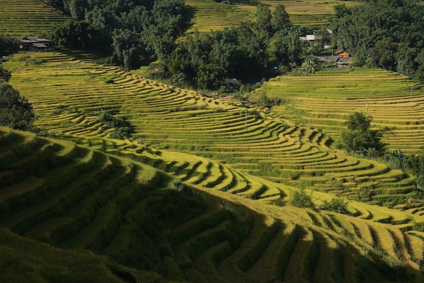 Picture 6 for Activity Sapa Half Day hard trekking villages trip with lunch & guide