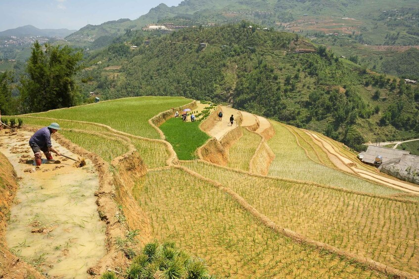 Sapa Half Day hard trekking villages trip with lunch & guide