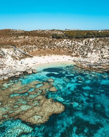 Perth: Rottnest Island Flight Transfer with Return Ferry