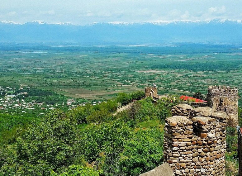 Picture 8 for Activity Tbilisi: Full Day Wine Tour Bodbe , Sighnaghi , Telavi