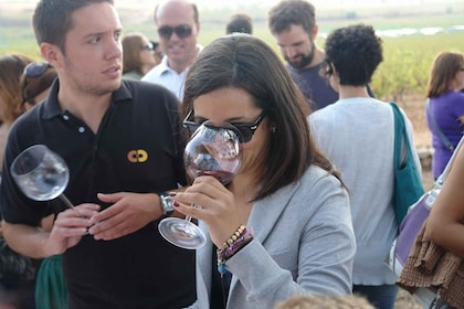 Valencia: Weinbergstour mit lokaler Weinverkostung und Aperitif