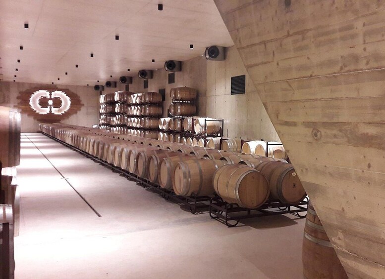 Picture 13 for Activity Valencia: Vineyard Tour with Local Wine Tasting & Appetizer