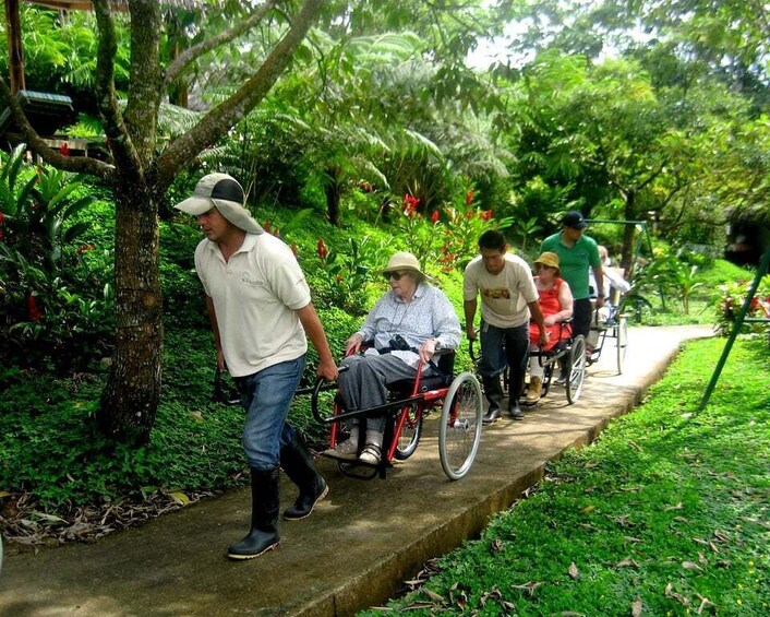 Picture 2 for Activity 4 Days Archidona Amazon Lodge Kichwa Community