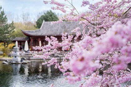 Berlin: Gärten der Welt Guided Tour