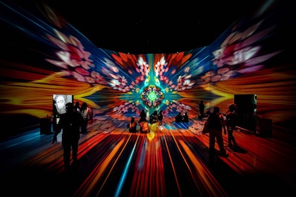 Washington, DC: ARTECHOUSE Immersive Art Experience Ticket