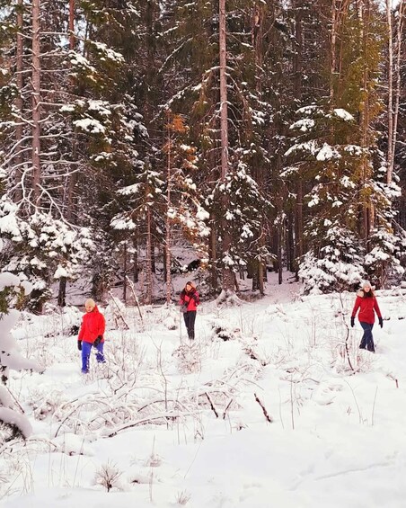 Picture 5 for Activity Oslo: Scenic Hike & Norwegian Waffles with Local Guide & Dog