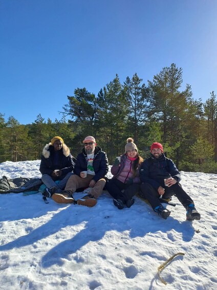 Picture 7 for Activity Oslo: Scenic Hike & Norwegian Waffles with Local Guide & Dog