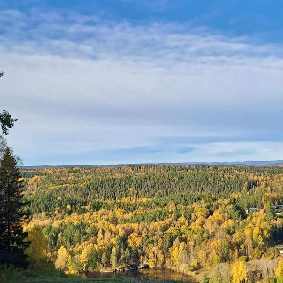 Picture 3 for Activity Oslo: Scenic Hike with Dog & Local Guide