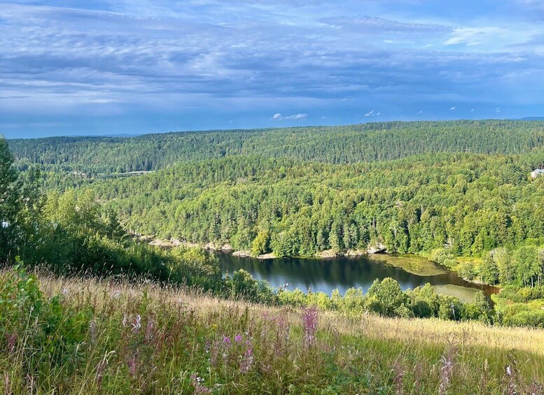 Picture 7 for Activity Oslo: Scenic Hike & Norwegian Waffles with Local Guide & Dog