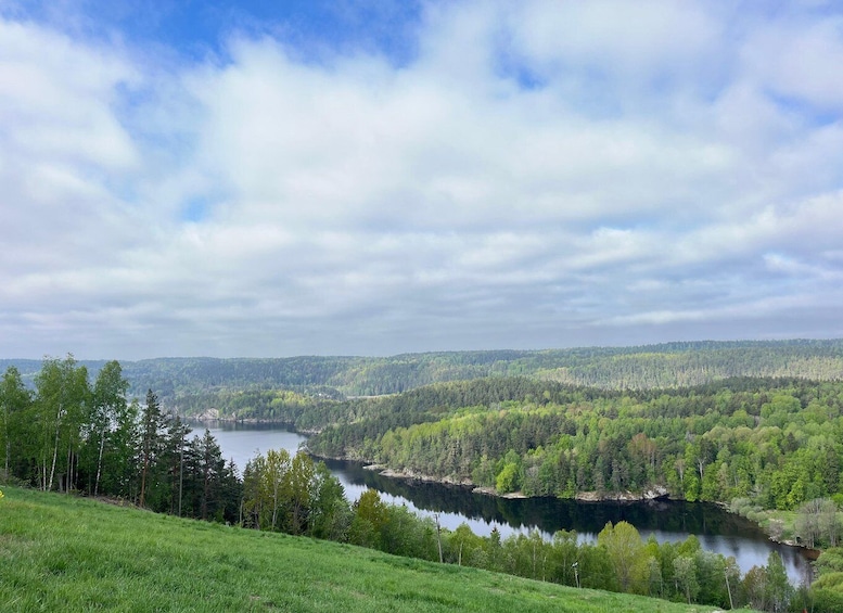 Picture 16 for Activity Oslo: Scenic Forest Hike with Dog & Local Guide