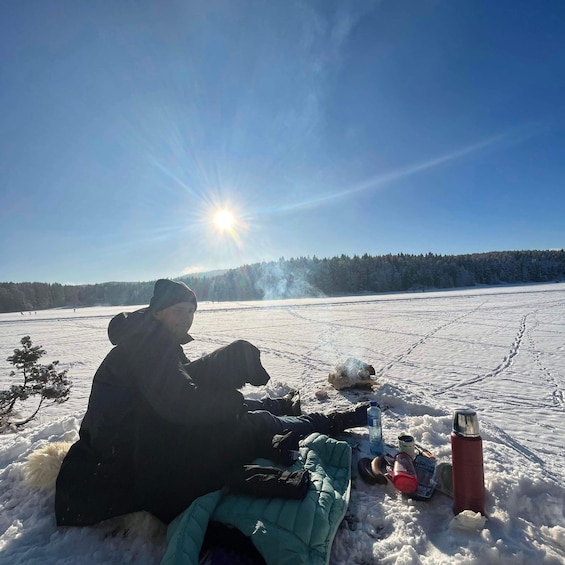 Picture 18 for Activity Oslo: Winter Hike & Norwegian Waffles with Local & Dog