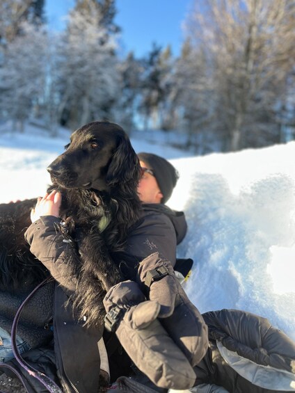 Picture 2 for Activity Oslo: Scenic Hike with Guide and Dog