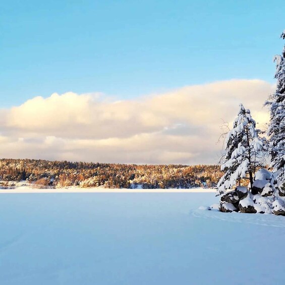 Oslo: Scenic Winter Hike With Local & Dog