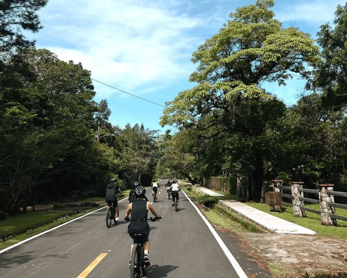 Picture 20 for Activity Electric Bikes Rental in El Valle de Anton