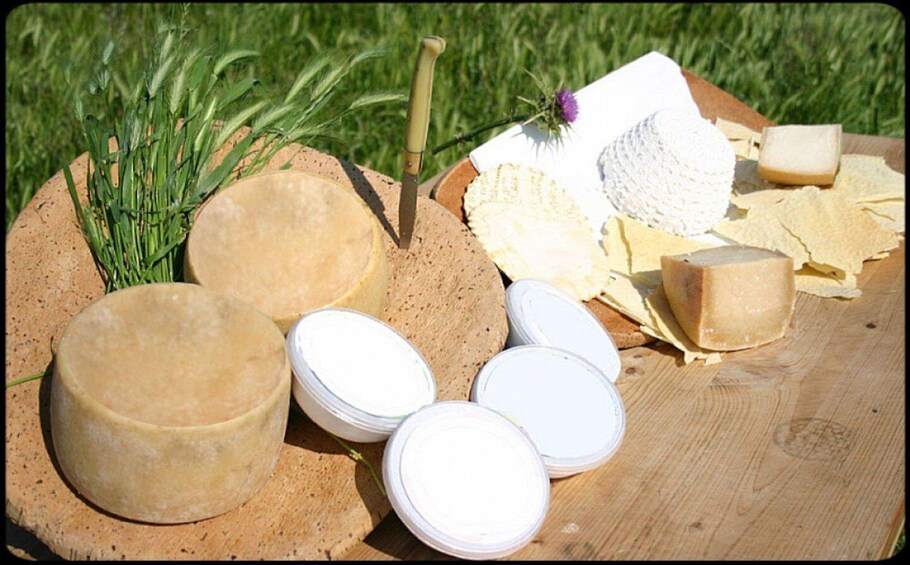 Picture 3 for Activity Bitti: Live a shepherd experience with typical lunch