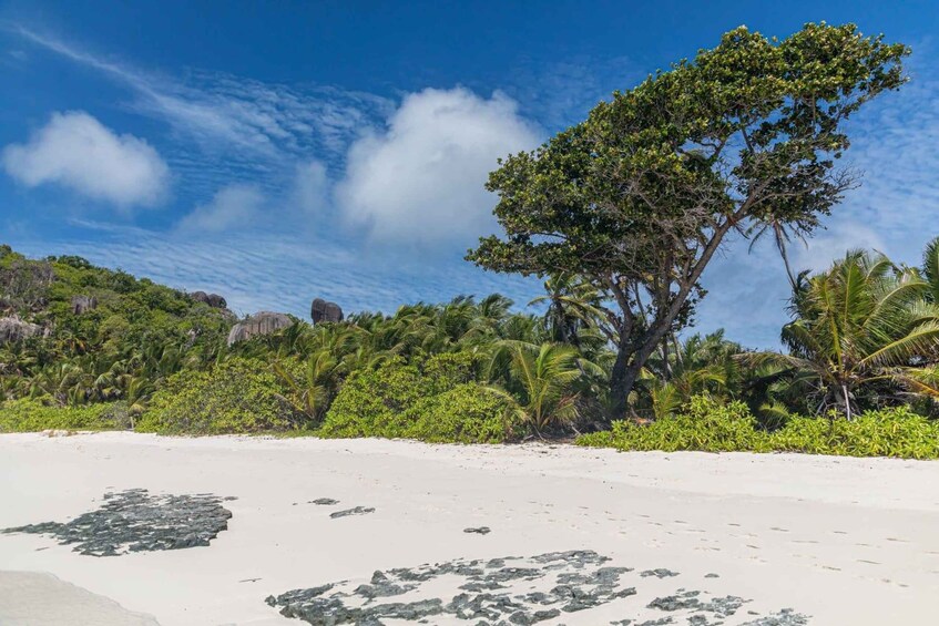 Picture 9 for Activity From Praslin: Sister & Coco Island Tour with Lunch