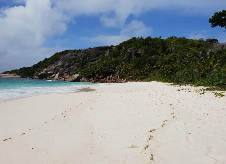 Picture 4 for Activity From Praslin: Sister & St Pierre Island Tour with Lunch