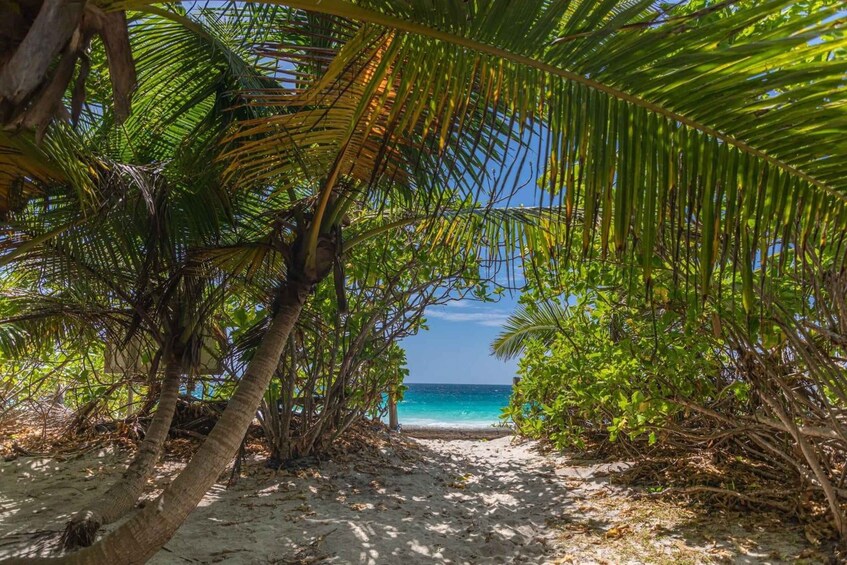 From Praslin: Sister & Coco Island Tour with Lunch