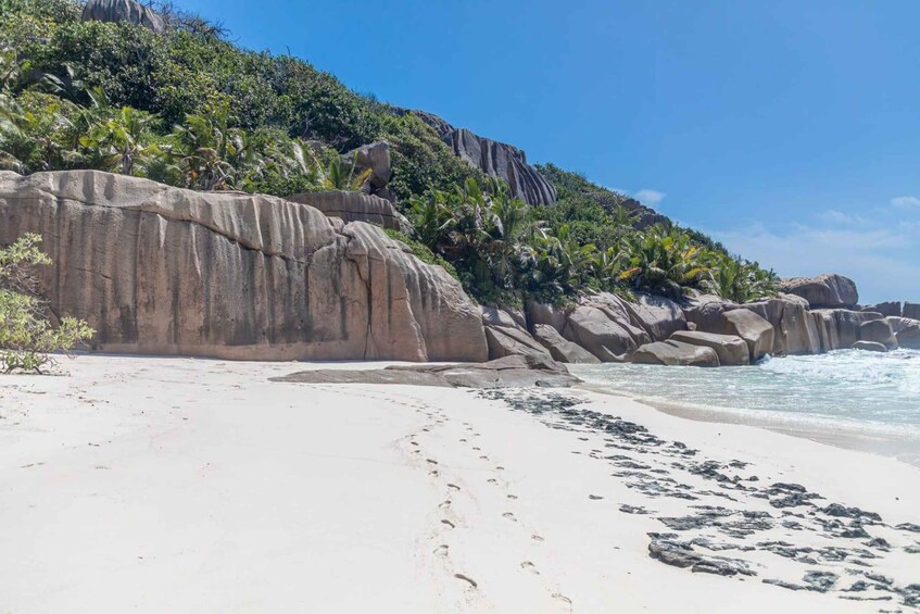 Picture 11 for Activity From Praslin: Sister & Coco Island Tour with Lunch