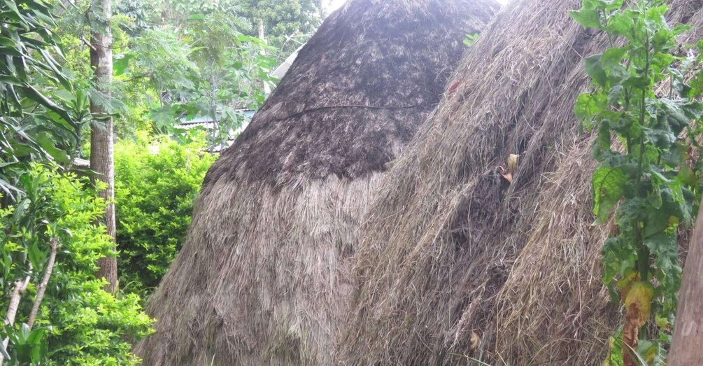 Picture 2 for Activity Marangu Waterfalls