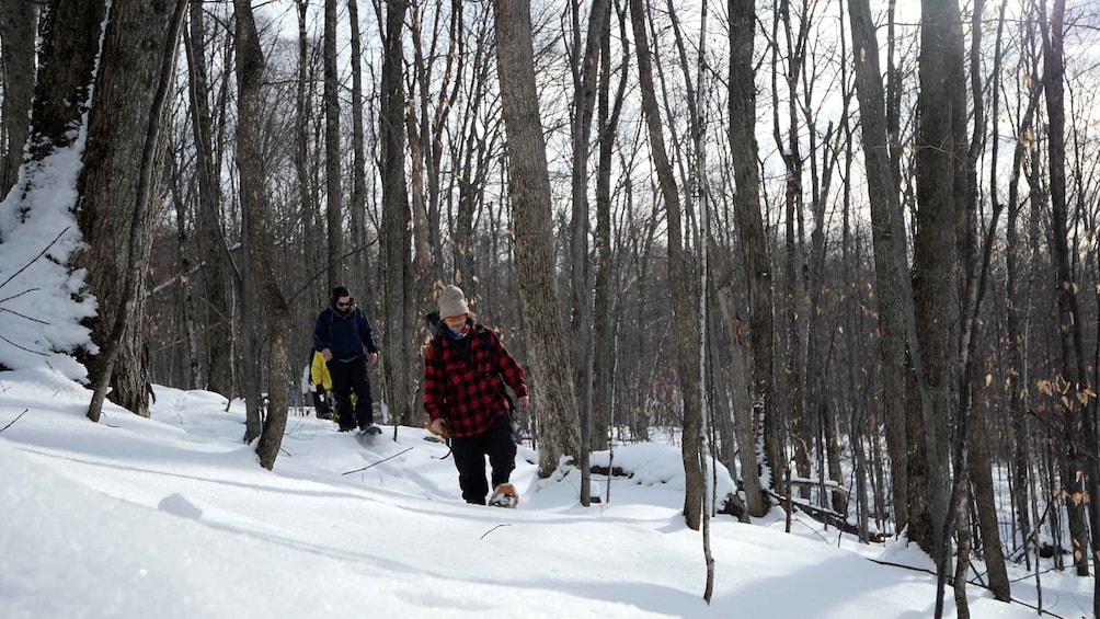 Picture 1 for Activity Mont-Tremblant: Fire Man Guided Snowshoe Tour