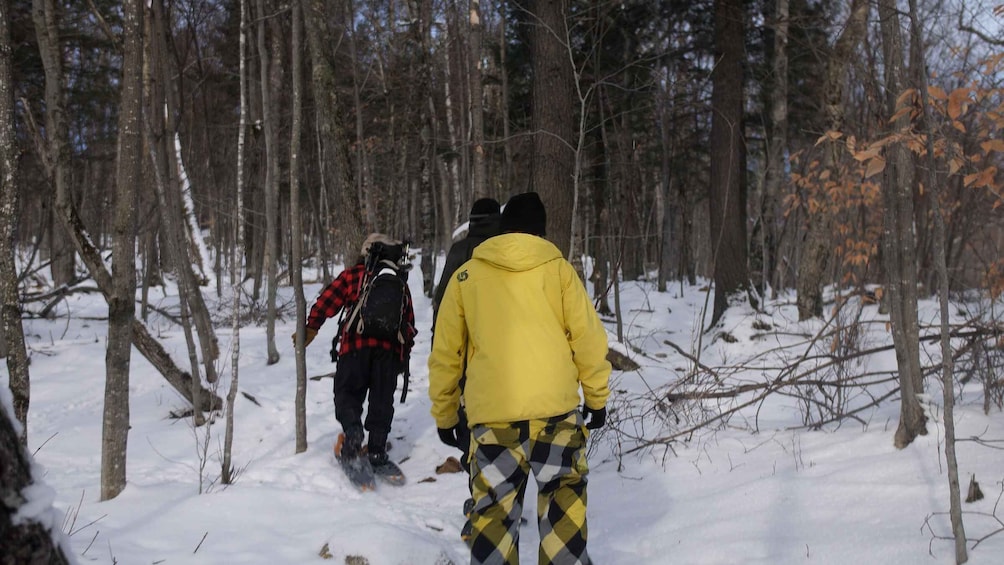 Picture 4 for Activity Mont-Tremblant: Fire Man Guided Snowshoe Tour