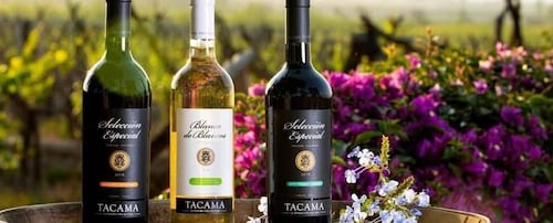 Ica: Pisco-route | Tacama, Arrabal, Bodega Lovera |