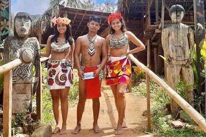 Ciudad de Panamá: Excursión de un día a Embera Village y Mono Falls con alm...