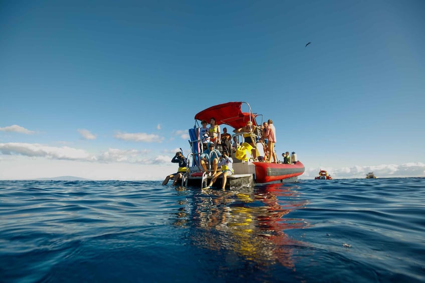 Picture 17 for Activity From Kihei: Molokini Snorkeling Adventure Tour