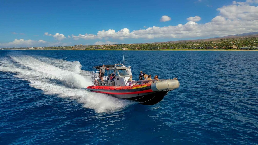 Picture 5 for Activity From Kihei: Molokini Snorkel with Whale Watching Adventure