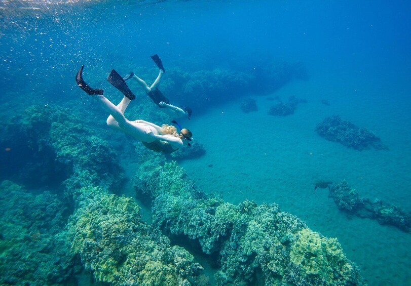 Picture 8 for Activity From Kihei: Molokini Snorkeling Adventure Tour