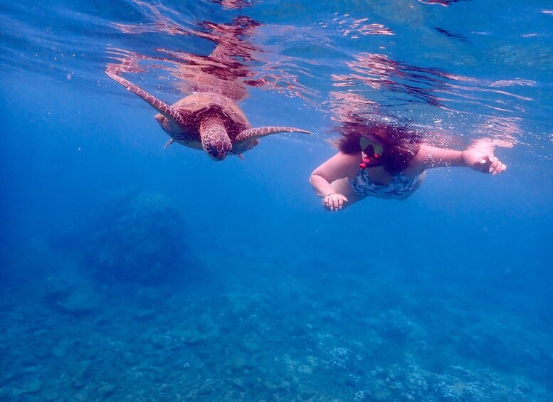 Picture 15 for Activity From Kihei: Molokini Crater Snorkel & Whale Watching Cruise