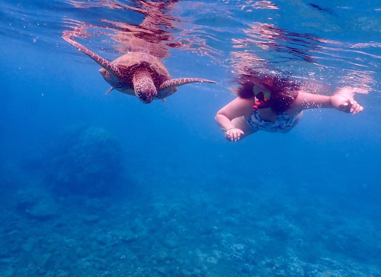 Picture 15 for Activity From Kihei: Molokini Snorkel with Whale Watching Adventure