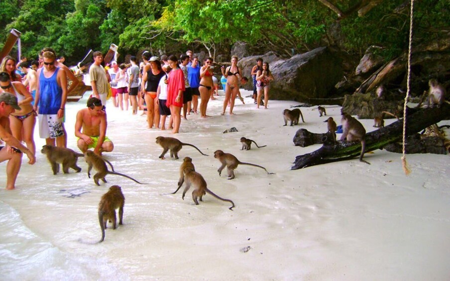 Picture 2 for Activity Aonang:Phi Phi Islands +Sunset 4 Islands Group by Speed boat