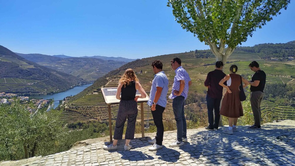 Picture 1 for Activity Porto: Douro Valley Wine Tour with Tastings, Boat, and Lunch