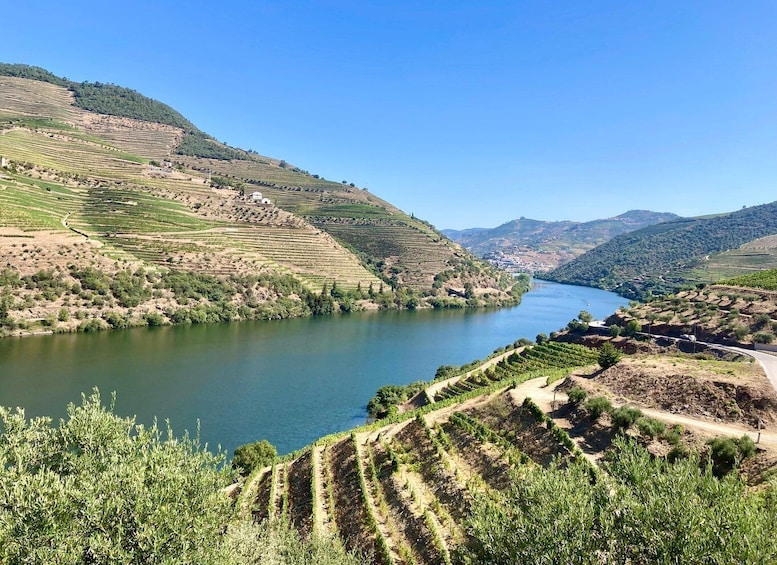 Picture 7 for Activity Porto: Douro Valley Wine Tour with Tastings, Boat, and Lunch